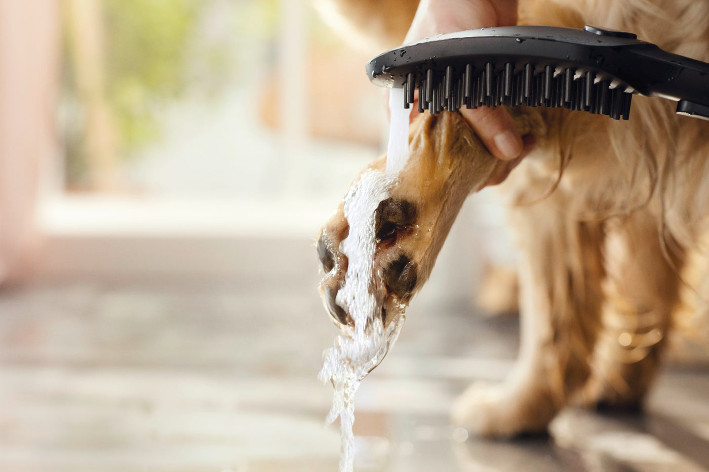HansGrohe Dogshower Köpek El Duşu 150 3Jet - 26640560