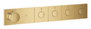 RSH Aqua THM trim 4 Smartcontr