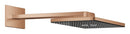 RSH Aqua Head shw set 400*230 Duo
