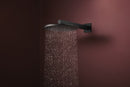 Hansgrohe Raindance Alive S Tepe duşu 300 2 jet EcoSmart, duş dirseği ile - 24541670