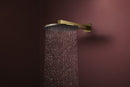 Hansgrohe Raindance Alive S Tepe duşu 300 2 jet EcoSmart, duş dirseği ile - 24541990