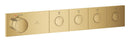 RSH Aqua THM trim 4 Smartcontr