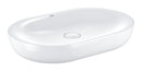 Grohe Essence - 3960800H