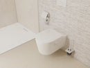 HansGrohe Addstoris Tuvalet Fırçası Tutacağı - 41752700