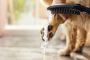 HansGrohe Dogshower Köpek El Duşu 150 3Jet - 26640540