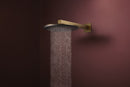 Hansgrohe Raindance Alive S Tepe duşu 300 2 jet, duş dirseğiyle - 24540140