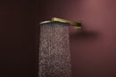 Hansgrohe Raindance Alive S Tepe duşu 300 2 jet, duş dirseğiyle - 24540990