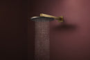 Hansgrohe Raindance Alive S Tepe duşu 300 2 jet EcoSmart, duş dirseği ile - 24541140