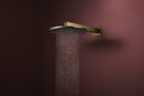 Hansgrohe Raindance Alive S Tepe duşu 300 2 jet EcoSmart, duş dirseği ile - 24541990